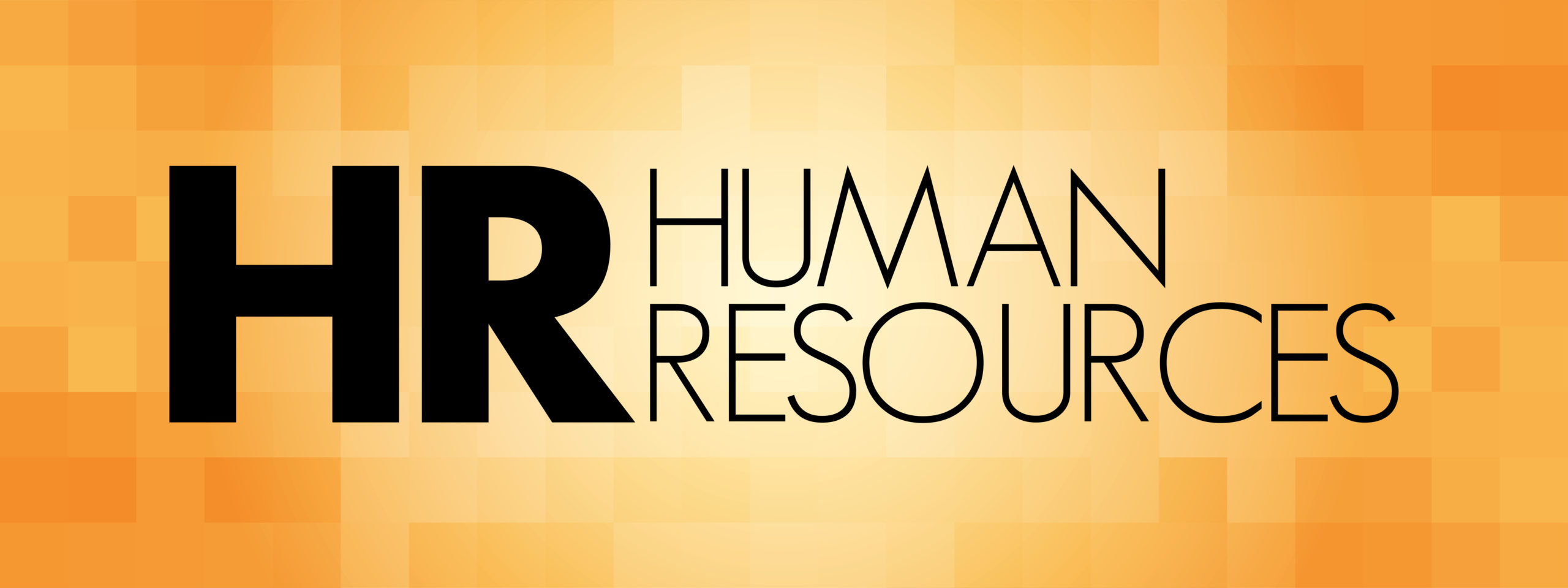 Human Resource Options